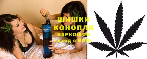 сатива Володарск