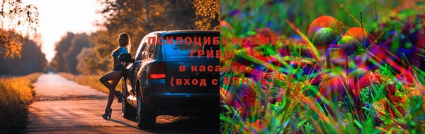 дживик Волосово