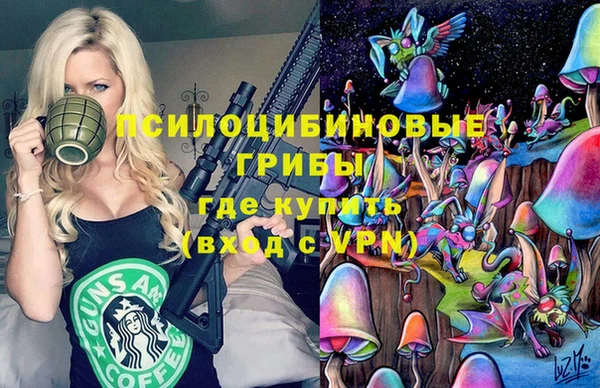 сатива Володарск