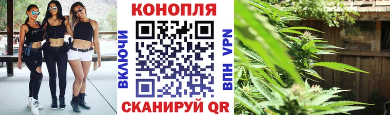 мориарти как зайти  блэк спрут ССЫЛКА  Петухово  где купить наркоту  Марихуана MAZAR 